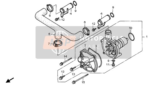 Honda GL1500SE 1995 WATER PUMP for a 1995 Honda GL1500SE