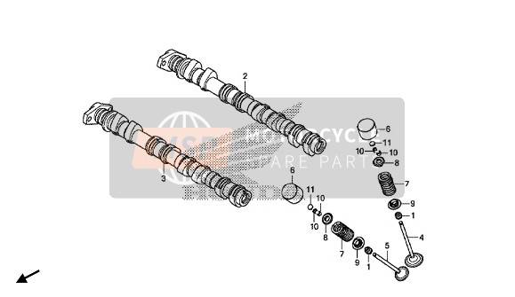 CAMSHAFT & VALVE