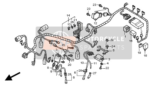 WIRE HARNESS & IGNITION COIL