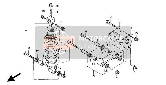 FEDERBEIN HINTEN