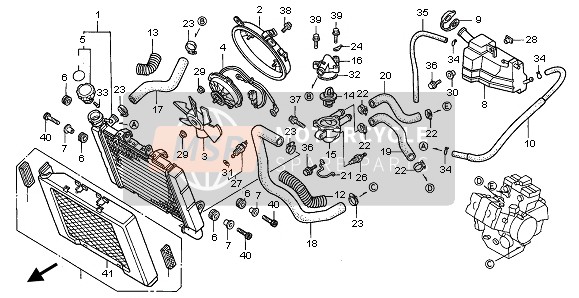 19502MZ5000, Hose, Fr. Cylinder Head Water, Honda, 0