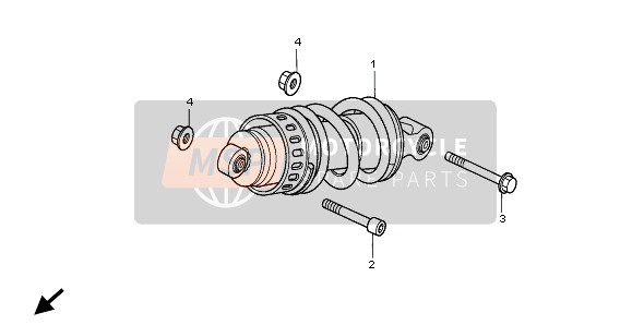 FEDERBEIN HINTEN