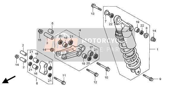 FEDERBEIN HINTEN