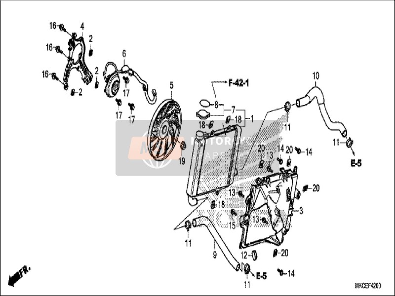 Honda GL1800DA 2019 Termosifone (R.) per un 2019 Honda GL1800DA