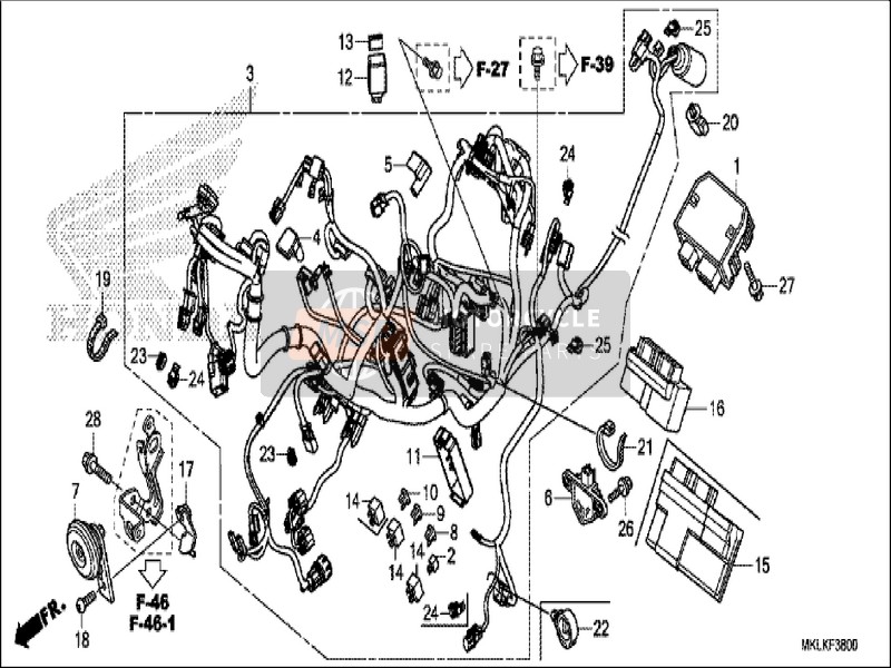 Wire Harness