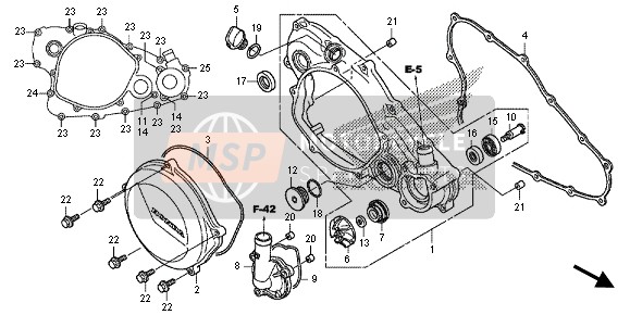 RIGHT CRANKCASE COVER & WATER PUMP