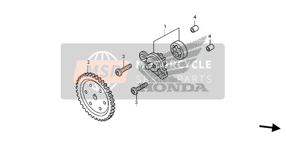 Accossato Bremsbeläge Für Honda SH 125 (ab 2013) – Sportliche Bremsen Mit Rennstrecken-DNA