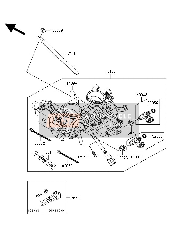 Kawasaki ER-6N ABS 2007 Throttle for a 2007 Kawasaki ER-6N ABS