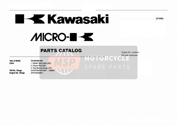 Kawasaki Z1000 2004 Model Identification for a 2004 Kawasaki Z1000