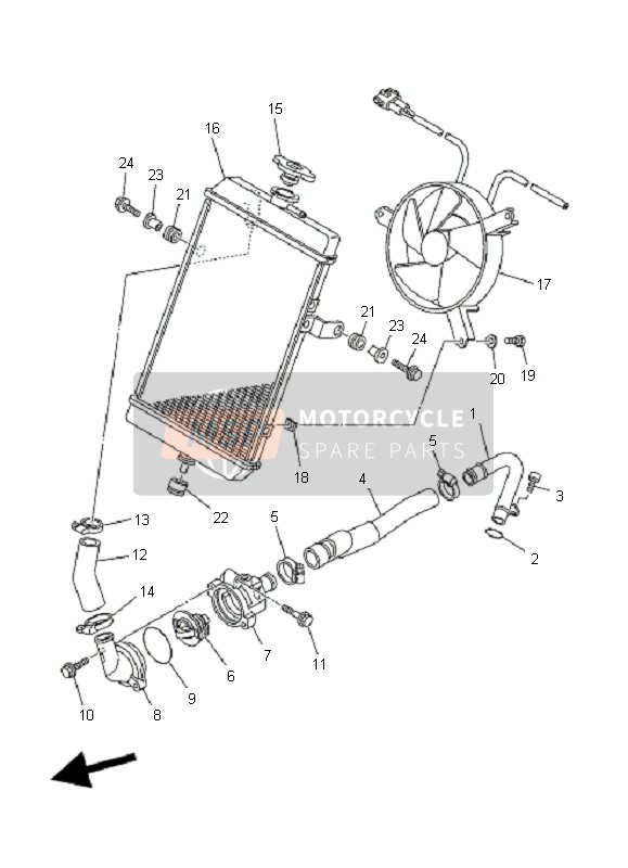 Radiator & Hose