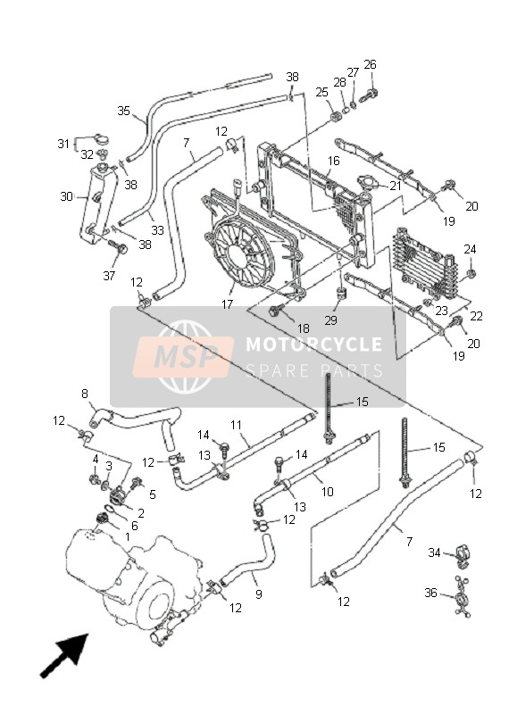 Radiator & Hose