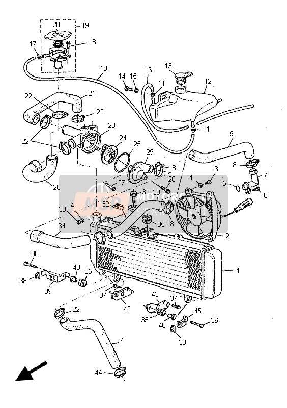 Yamaha SZR660 1997 Radiator & Hose for a 1997 Yamaha SZR660