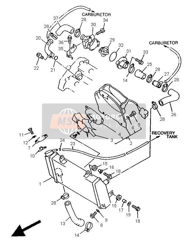 Yamaha TRX850 1998 Radiator & Hose for a 1998 Yamaha TRX850