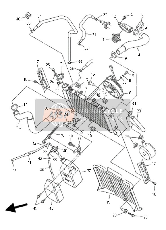 Yamaha FZ6-NAHG 2009 Radiator & Hose for a 2009 Yamaha FZ6-NAHG