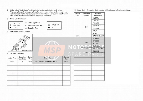 Yamaha FZ6-NHG 2009 Model Label for a 2009 Yamaha FZ6-NHG