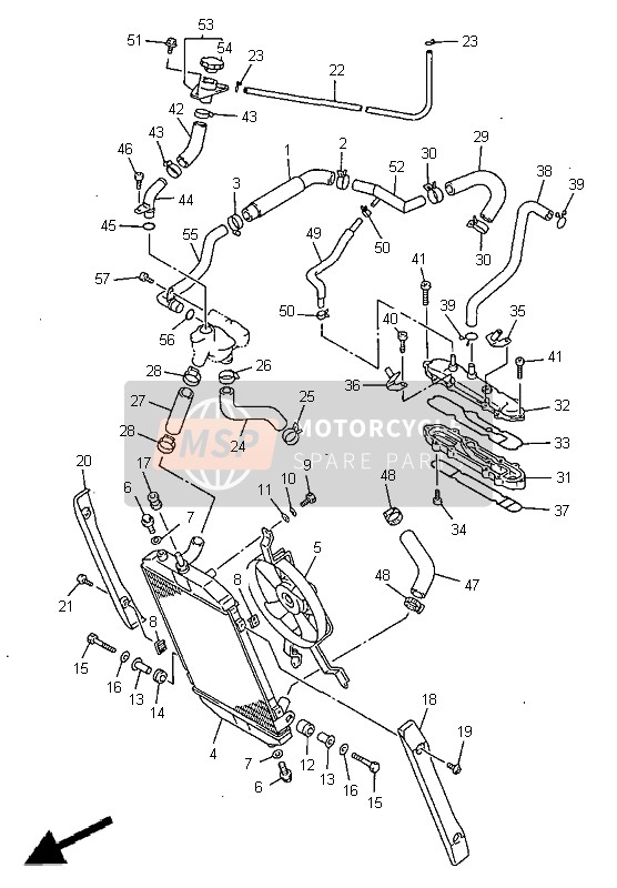 Radiator & Hose