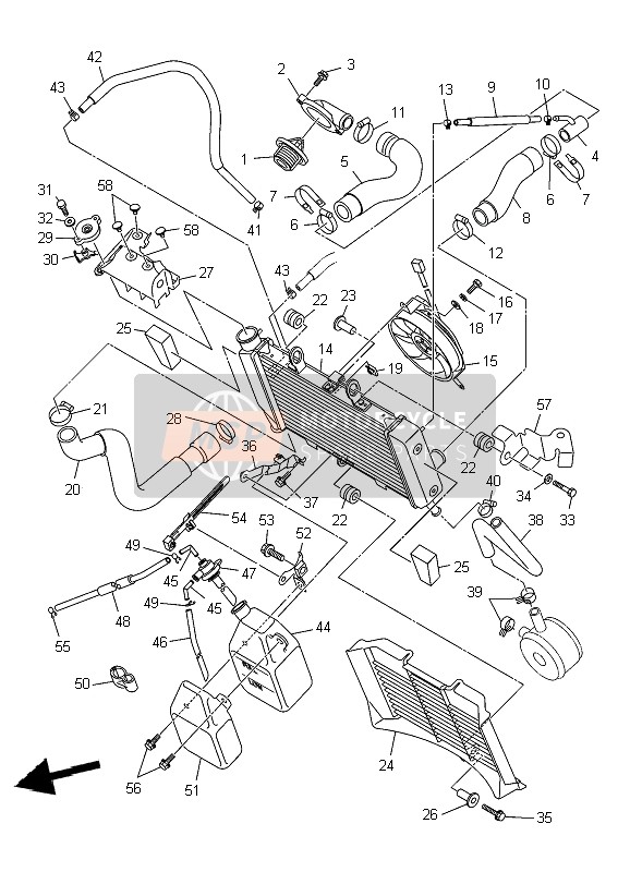 Yamaha XJ6SA DIVERSION 2009 Termosifone & Tubo per un 2009 Yamaha XJ6SA DIVERSION