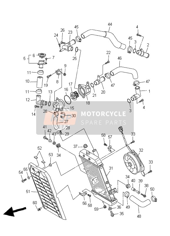 Yamaha XVS1300A MIDNIGHT STAR 2009 Radiator & Hose for a 2009 Yamaha XVS1300A MIDNIGHT STAR