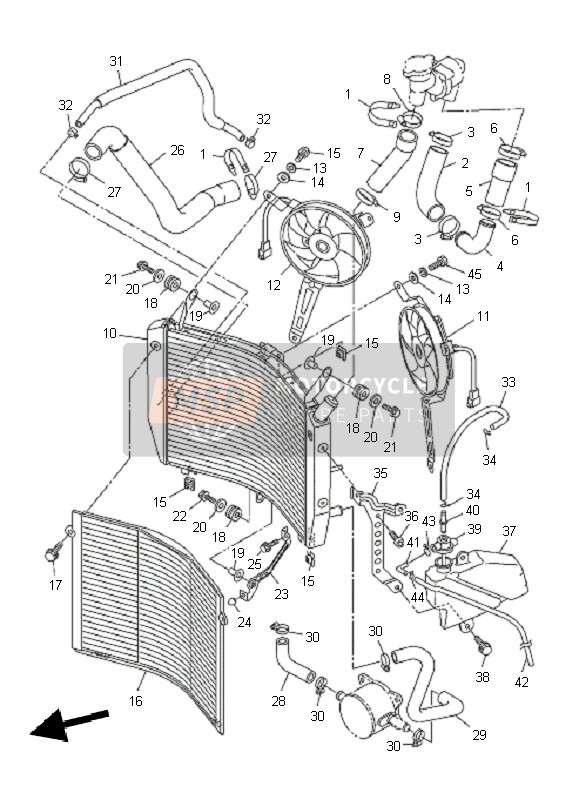 Radiator & Hose