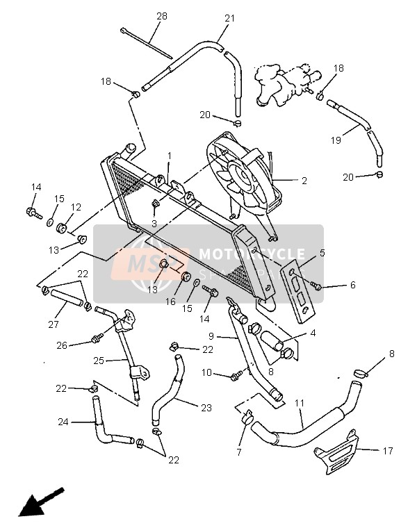 Yamaha FZS600 1999 Radiator & Hose for a 1999 Yamaha FZS600