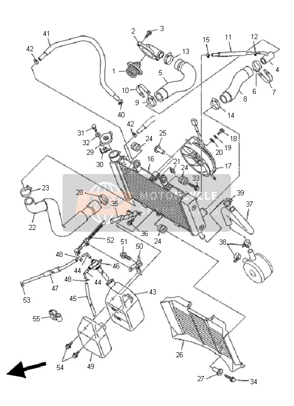 Yamaha XJ6N 2010 Radiator & Hose for a 2010 Yamaha XJ6N