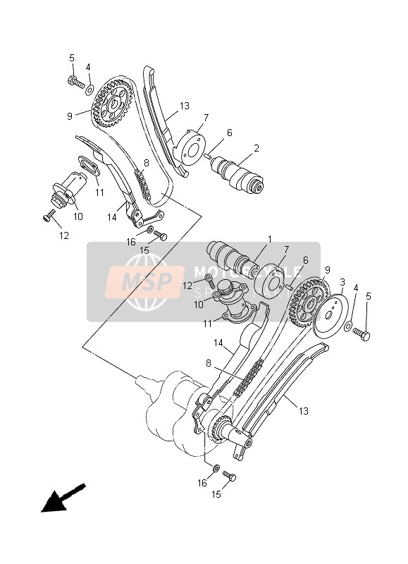 Camshaft & Chain