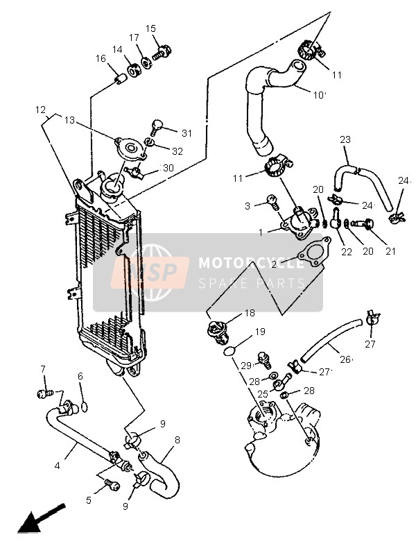 Radiator & Hose