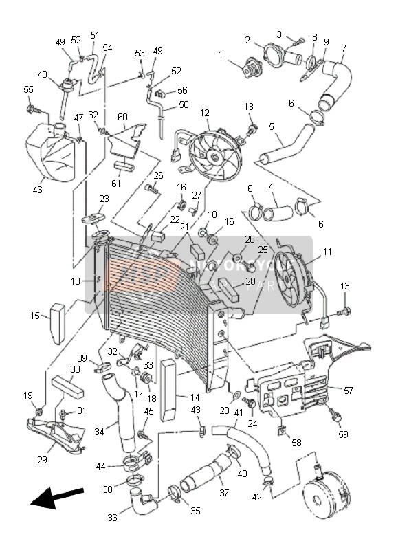 Radiator & Hose