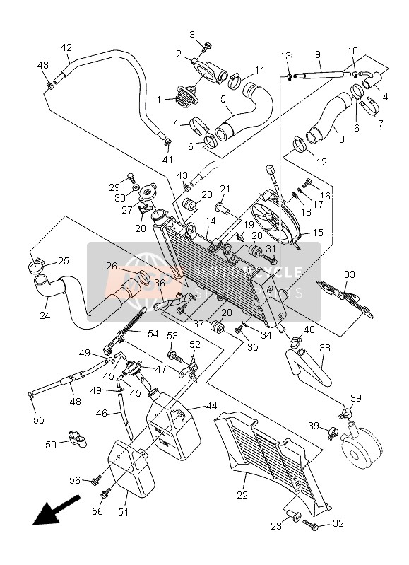 Yamaha XJ6N 2013 Radiator & Hose for a 2013 Yamaha XJ6N