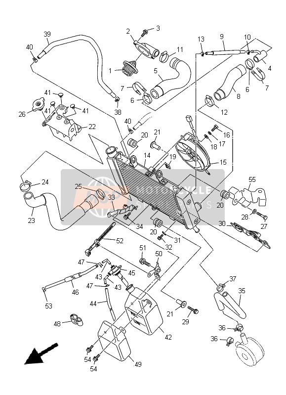 Yamaha XJ-6FA 2014 KÜHLER & SCHLAUCH für ein 2014 Yamaha XJ-6FA