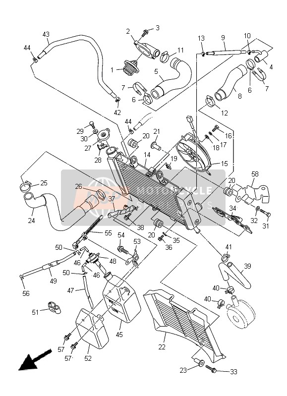 Yamaha XJ-6NA 2014 Radiator & Hose for a 2014 Yamaha XJ-6NA