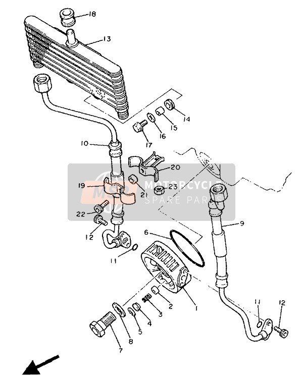 Oil Cooler