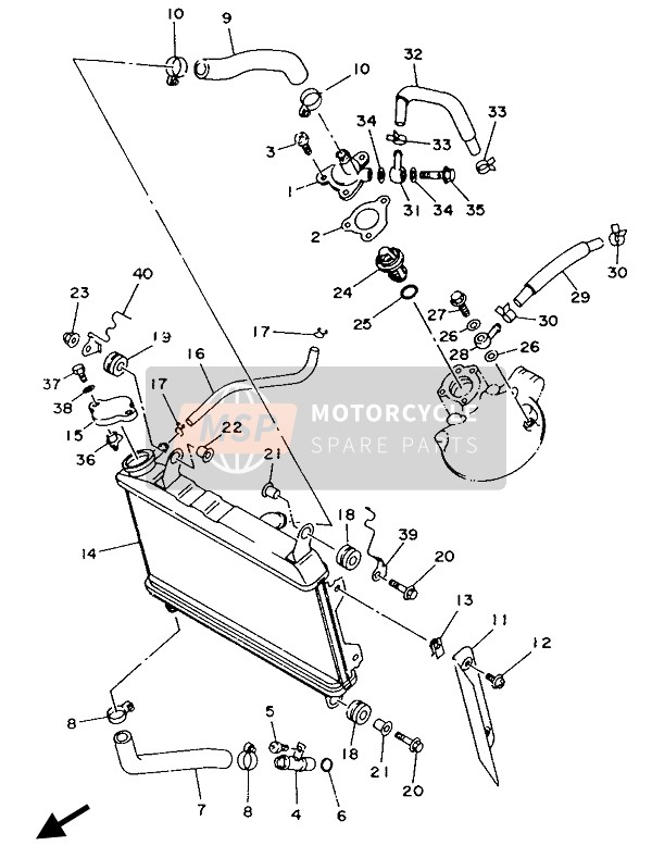 Radiator & Hose