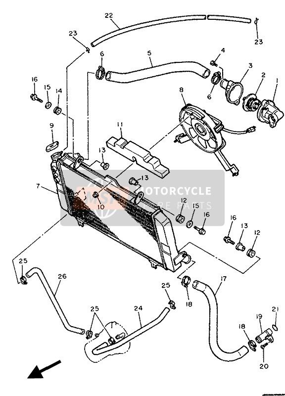 Radiator & Hose