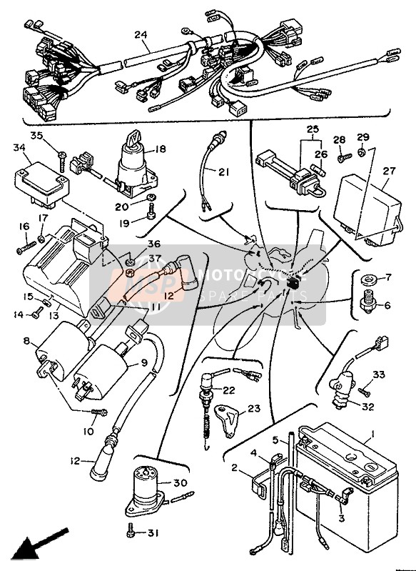 Eléctrico 1