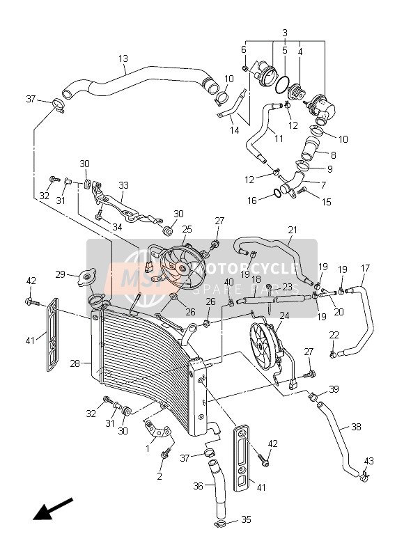 Yamaha FZ8-SA FAZER 2015 Radiator & Hose for a 2015 Yamaha FZ8-SA FAZER