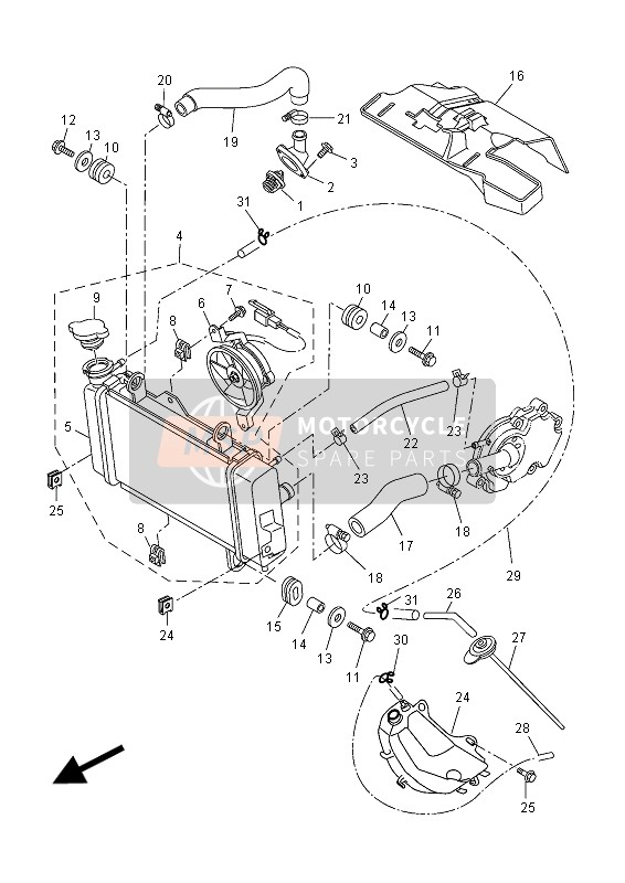 Yamaha MT125 2015 Radiator & Hose for a 2015 Yamaha MT125