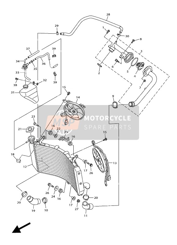 Radiator & Hose