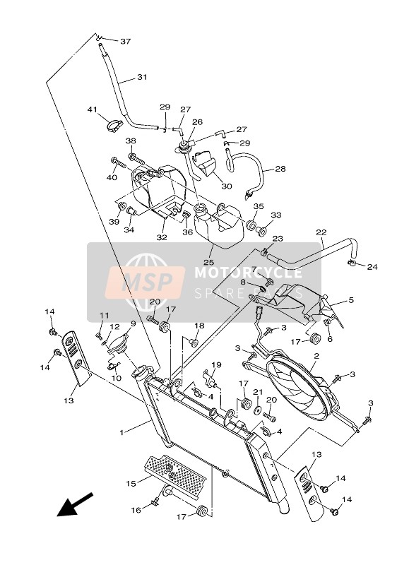 Radiator & Hose