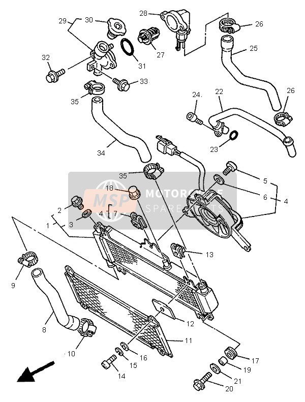 Radiator Hose