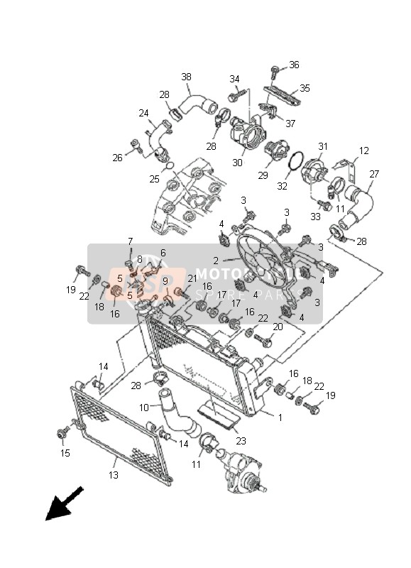 Radiator & Hose