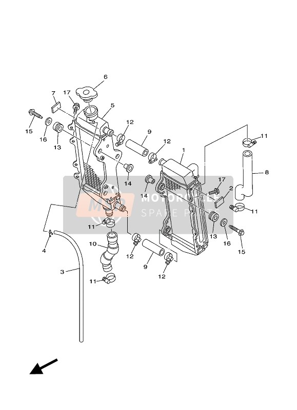 Radiator & Hose