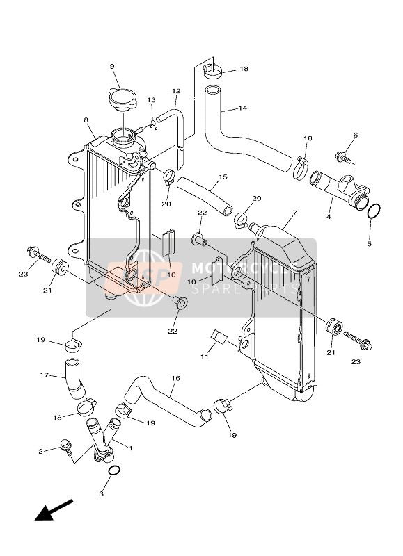 Radiator & Hose