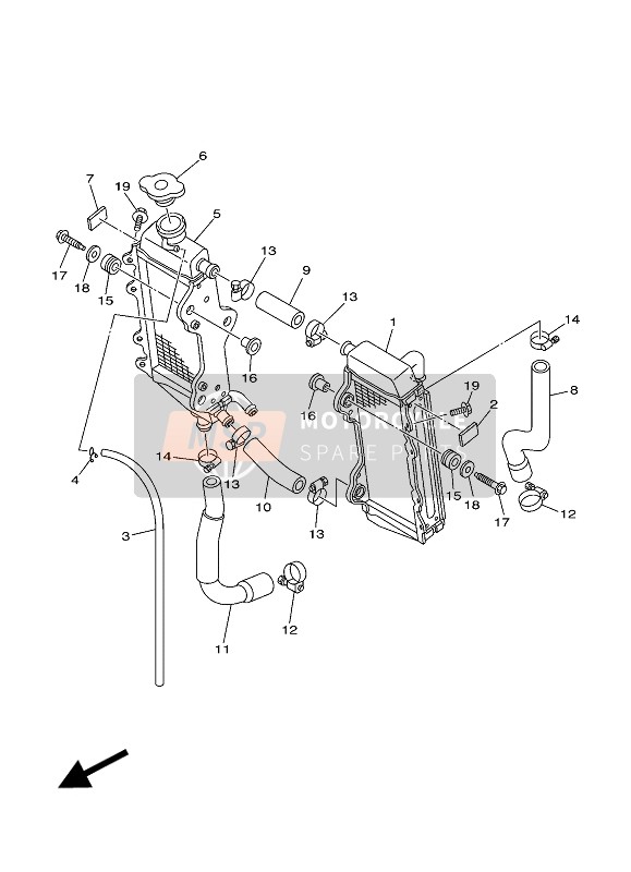 Radiator & Hose