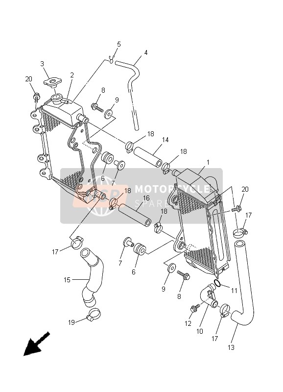 Radiator & Hose