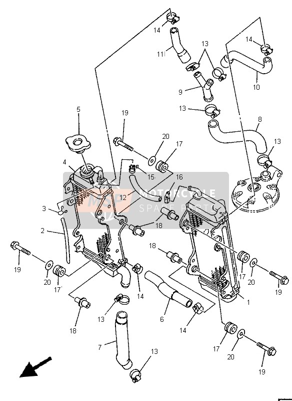 Radiator Hose