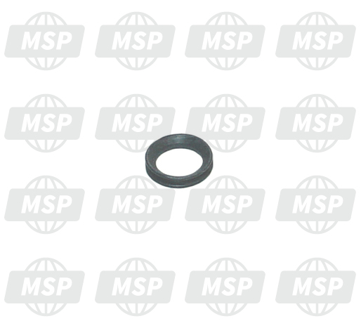 273419, Gasket Ring, Piaggio, 1