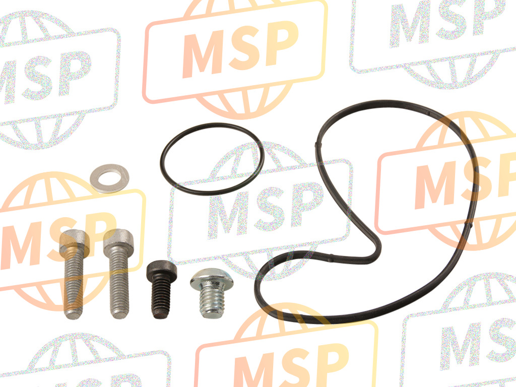 893968, Water Pump Kit, Piaggio, 1