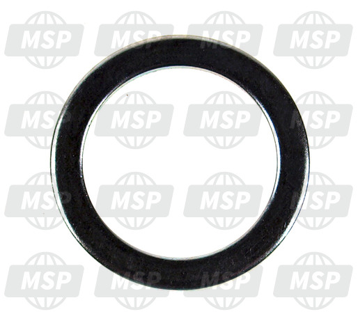 AP8163295, Oil Seal Washer, Piaggio, 1