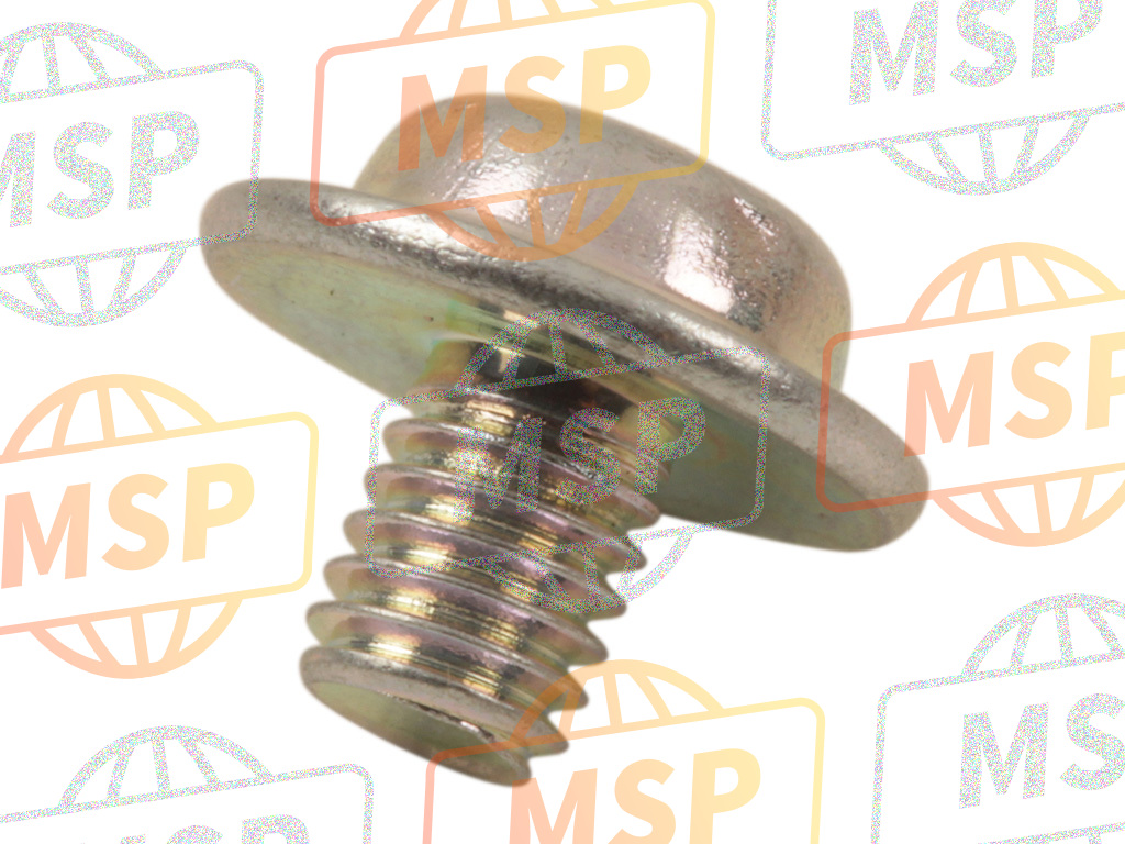 1360205A10, Screw, Suzuki, 2